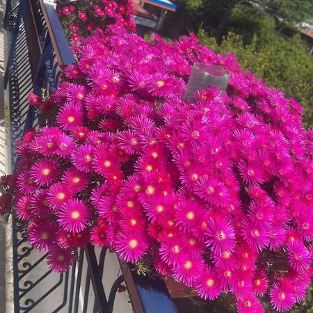 Bougainvillea Relais سورينتو المظهر الخارجي الصورة